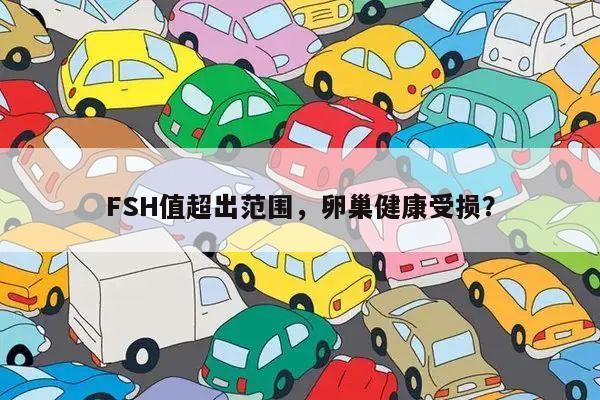 FSH值超出范围,卵巢健康受损?