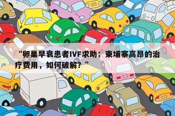 “卵巢早衰患者IVF求助:柬埔寨高昂的治疗费用,如何破解?”
