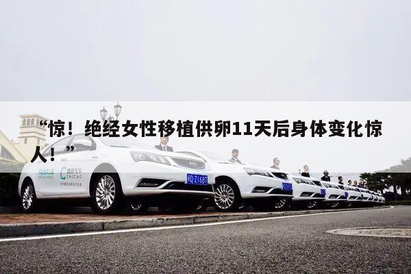 “惊!绝经女性移植供卵11天后身体变化惊人!”