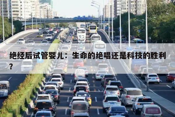 绝经后试管婴儿:生命的绝唱还是科技的胜利?