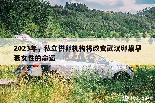 2023年，私立供卵机构将改变武汉卵巢早衰女性的命运