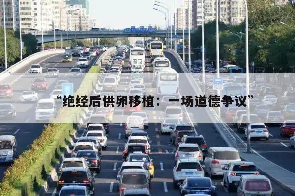 “绝经后供卵移植:一场道德争议”