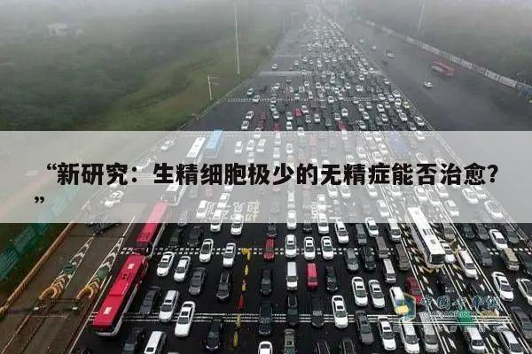 “新研究:生精细胞极少的无精症能否治愈?”