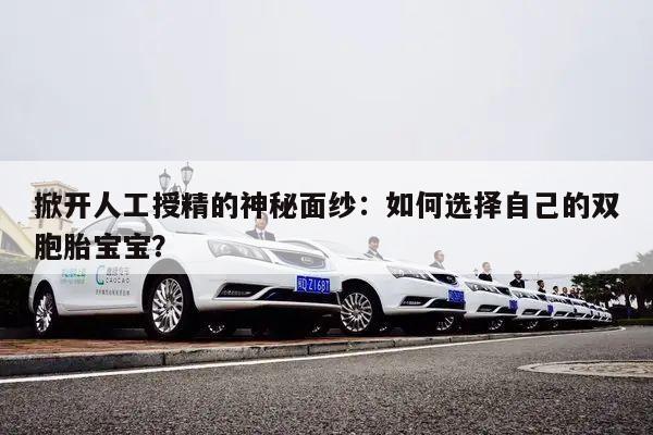 掀开人工授精的神秘面纱:如何选择自己的双胞胎宝宝?