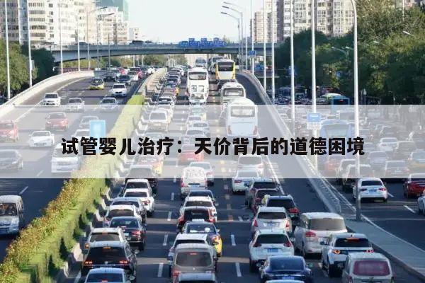 试管婴儿治疗:天价背后的道德困境