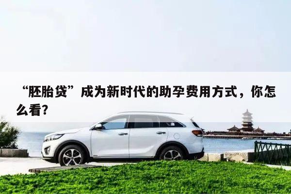“胚胎贷”成为新时代的助孕费用方式,你怎么看?