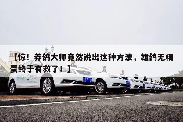 【惊!养鸽大师竟然说出这种方法,雄鸽无精蛋终于有救了!】