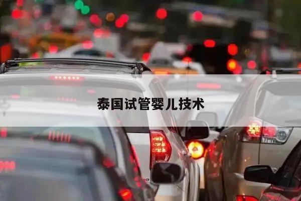 泰国试管婴儿技术