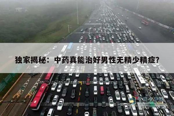 独家揭秘:中药真能治好男性无精少精症?