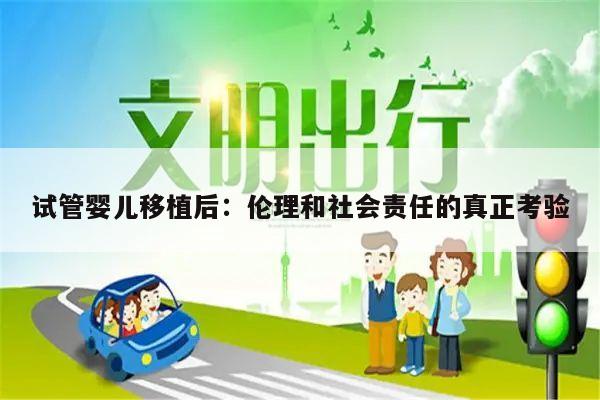 试管婴儿移植后:伦理和社会责任的真正考验