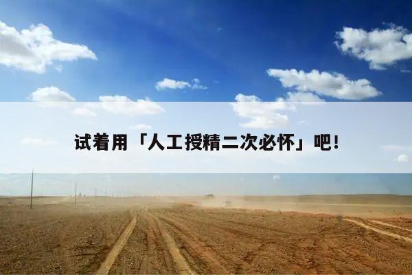 试着用「人工授精二次必怀」吧!