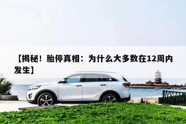 【揭秘!胎停真相:为什么大多数在12周内发生】