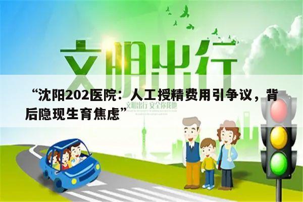 “沈阳202医院:人工授精费用引争议,背后隐现生育焦虑”