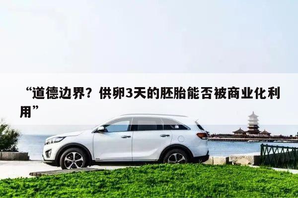 “道德边界?供卵3天的胚胎能否被商业化利用”
