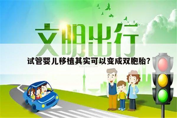 试管婴儿移植其实可以变成双胞胎?