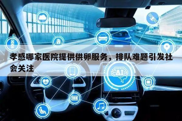 孝感哪家医院提供供卵服务,排队难题引发社会关注