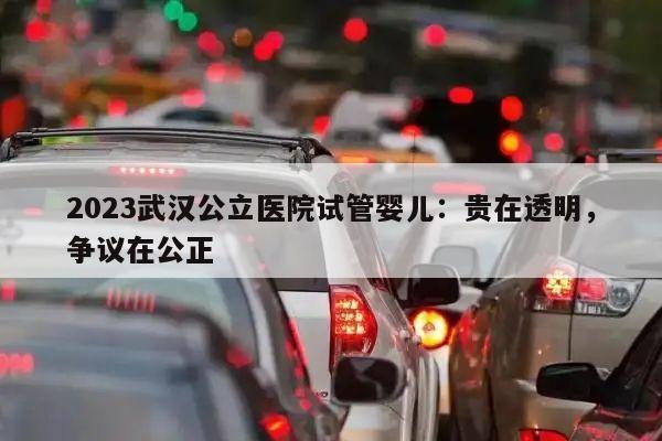 2023武汉公立医院试管婴儿:贵在透明,争议在公正