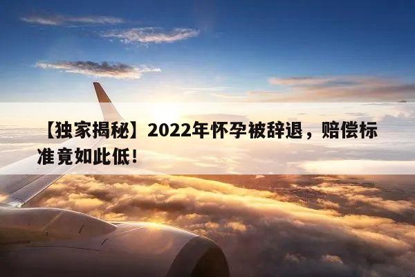 【独家揭秘】2022年怀孕被辞退，赔偿标准竟如此低！