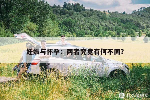 妊娠与怀孕:两者究竟有何不同?