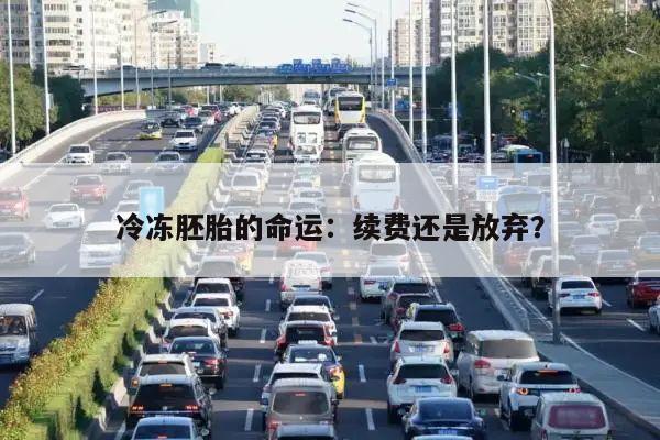 冷冻胚胎的命运：续费还是放弃？