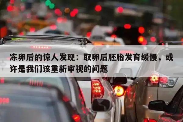 冻卵后的惊人发现:取卵后胚胎发育缓慢,或许是我们该重新审视的问题