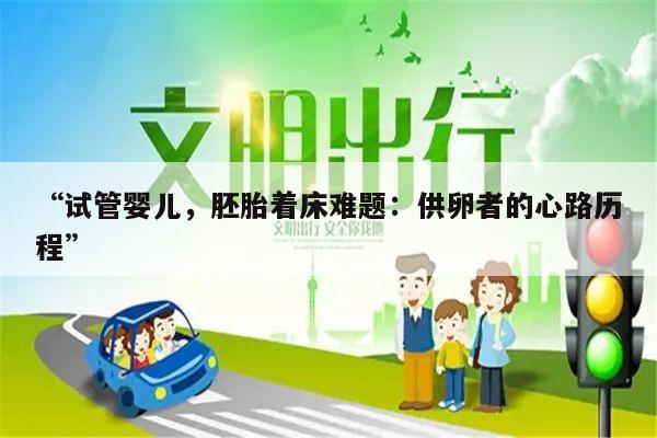 “试管婴儿，胚胎着床难题：供卵者的心路历程”