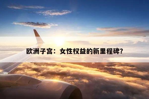 欧洲子宫:女性权益的新里程碑?