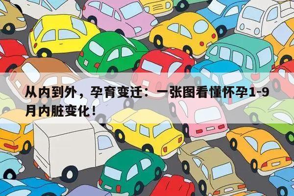 从内到外,孕育变迁:一张图看懂怀孕1-9月内脏变化!