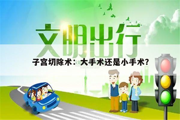 子宫切除术：大手术还是小手术？