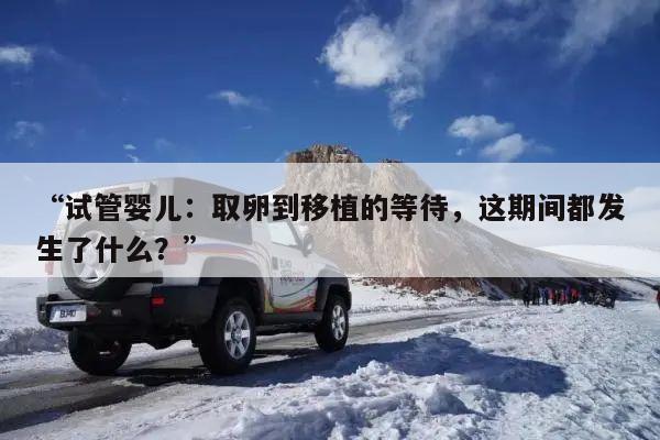 “试管婴儿：取卵到移植的等待，这期间都发生了什么？”