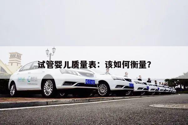 试管婴儿质量表:该如何衡量?