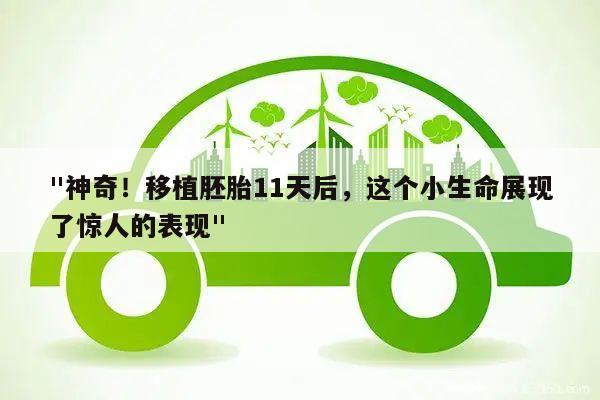 "神奇!移植胚胎11天后,这个小生命展现了惊人的表现"