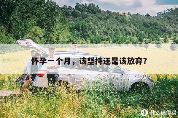 怀孕一个月,该坚持还是该放弃?