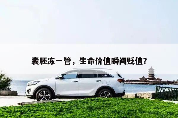 囊胚冻一管,生命价值瞬间贬值?