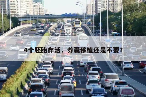 4个胚胎存活,养囊移植还是不要?