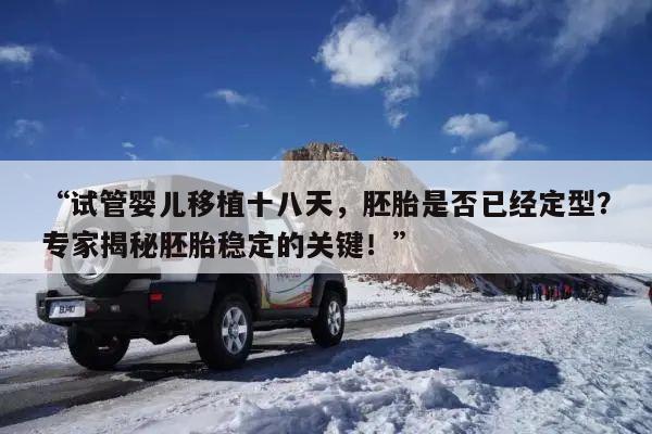 “试管婴儿移植十八天,胚胎是否已经定型?专家揭秘胚胎稳定的关键!”