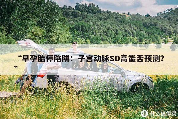 “早孕胎停陷阱：子宫动脉SD高能否预测？”