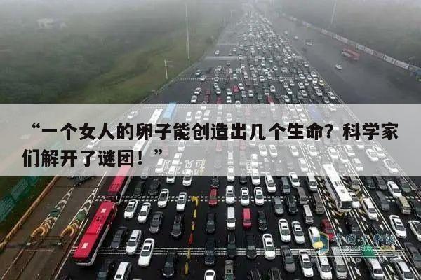 “一个女人的卵子能创造出几个生命?科学家们解开了谜团!”