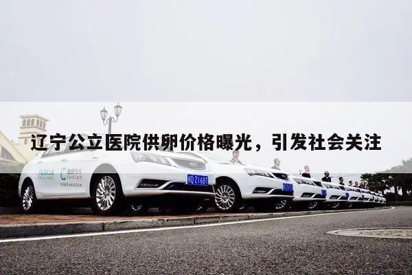 辽宁公立医院供卵价格曝光,引发社会关注