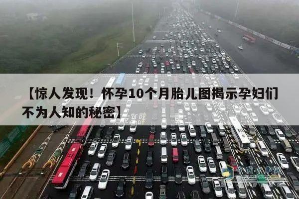 【惊人发现!怀孕10个月胎儿图揭示孕妇们不为人知的秘密】