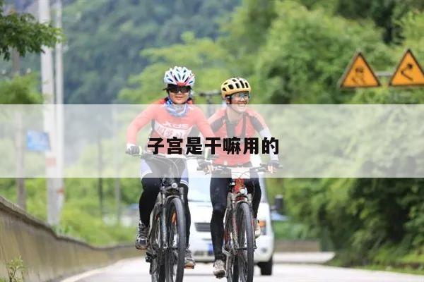 子宫是干嘛用的