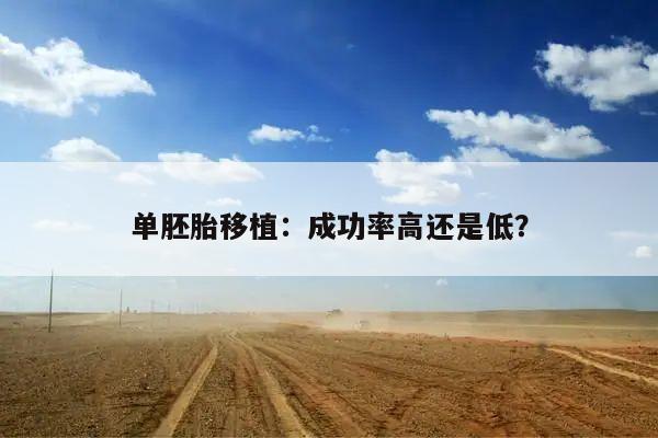 单胚胎移植：成功率高还是低？