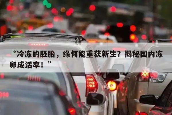 “冷冻的胚胎，缘何能重获新生？揭秘国内冻卵成活率！”