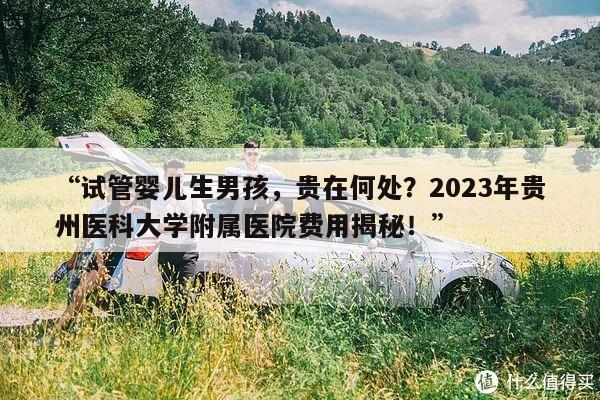 “试管婴儿生男孩,贵在何处?2023年贵州医科大学附属医院费用揭秘!”