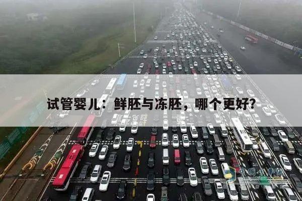 试管婴儿:鲜胚与冻胚,哪个更好?