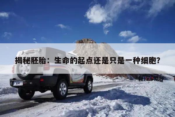 揭秘胚胎:生命的起点还是只是一种细胞?
