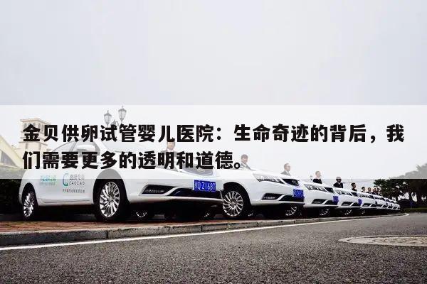 金贝供卵试管婴儿医院:生命奇迹的背后,我们需要更多的透明和道德。