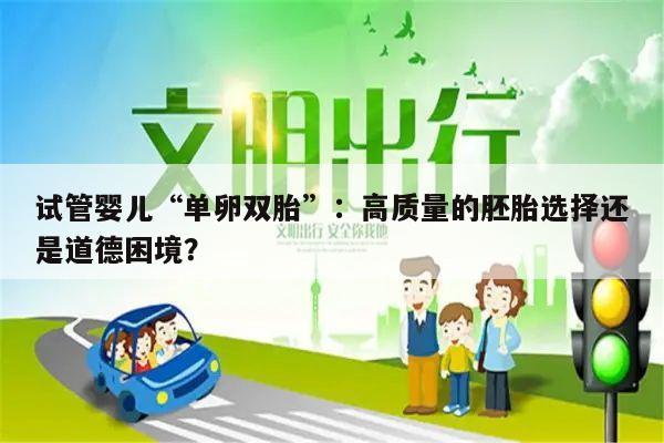 试管婴儿“单卵双胎”:高质量的胚胎选择还是道德困境?