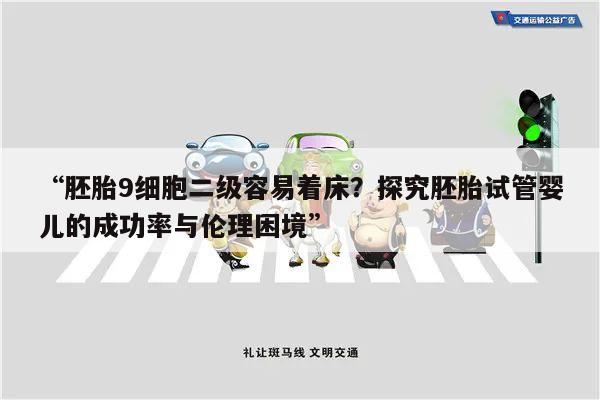 “胚胎9细胞二级容易着床?探究胚胎试管婴儿的成功率与伦理困境”