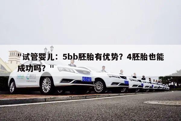 "试管婴儿：5bb胚胎有优势？4胚胎也能成功吗？"